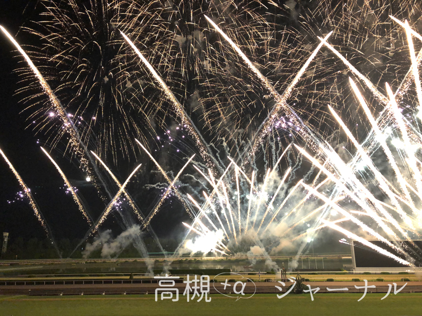 京都 京都競馬場 めっちゃ感動 京都芸術花火 ガーコジャーナル