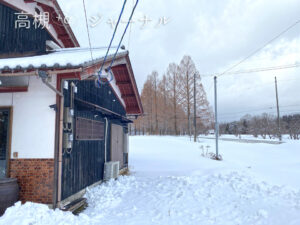 冬のメタセコイア並木