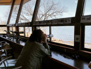 新旭水鳥観察センターで水鳥観察
