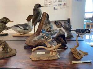 新旭水鳥観察センター