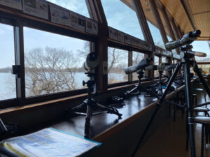 新旭水鳥観察センター