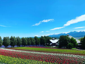 ファーム富田